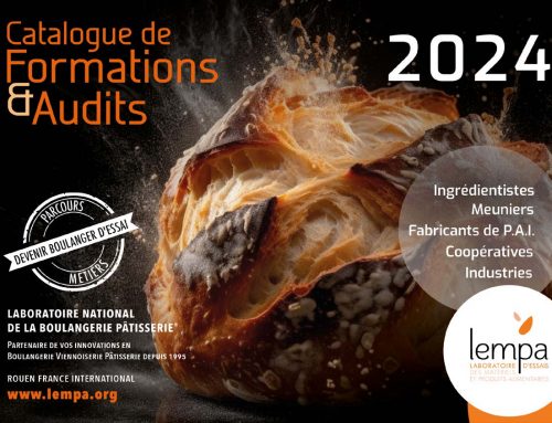 Notre catalogue de formations 2024 est enfin là !